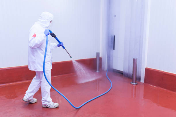 Best Roof Washing  in Yermo, CA